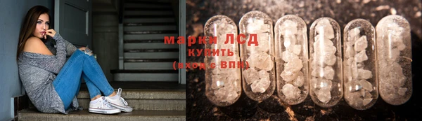 крисы Абдулино