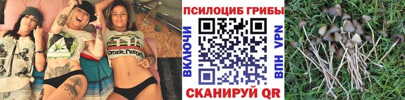 Галлюциногенные грибы Magic Shrooms  Алагир 